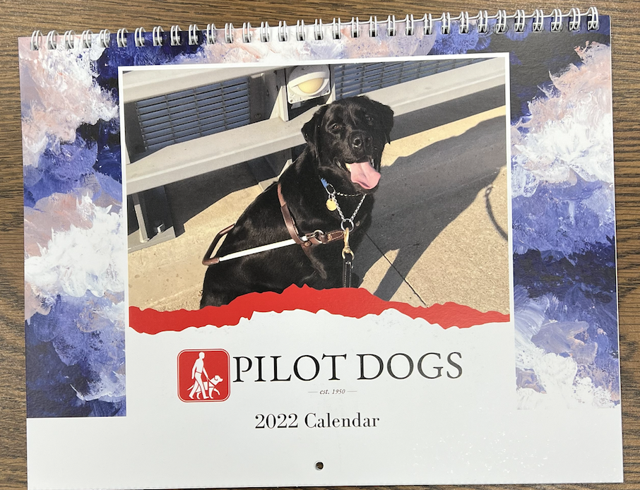 Front page of the 2022 Pilot Dogs Wall calendar. It has a picture of a Black Labrador retriever sitting in harness facing the camera with his tough out.