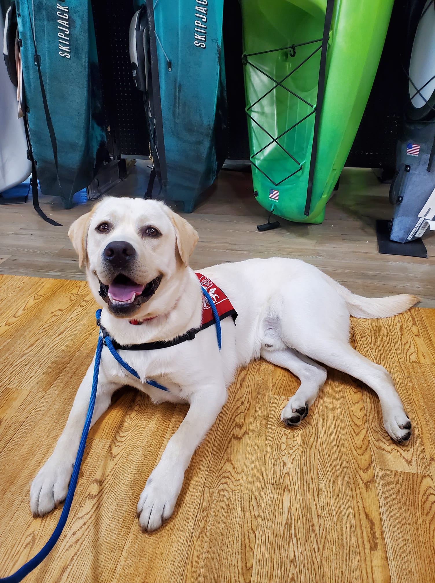 Inzo @ Dicks Sporting Goods