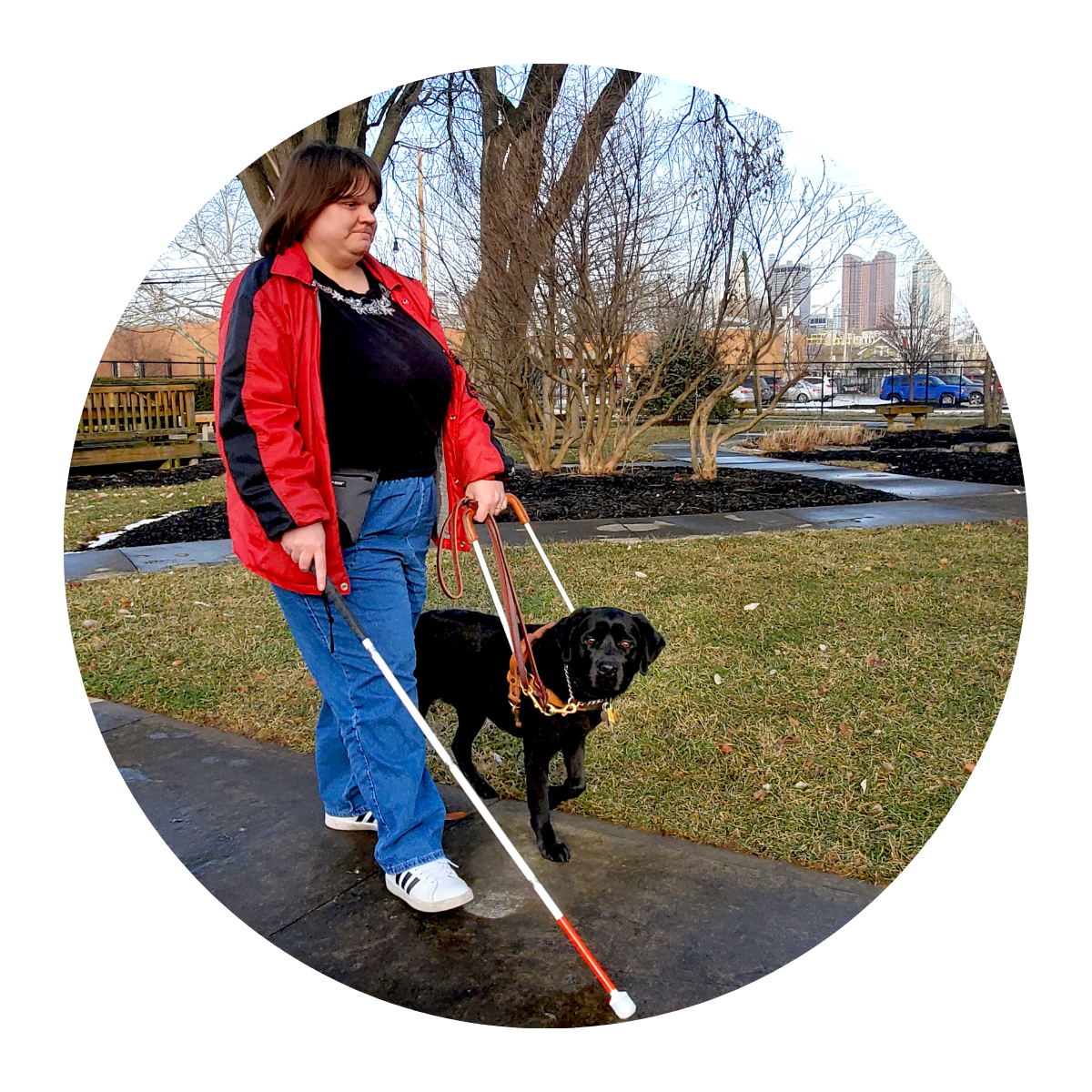 A woman walks on the sidewalk with a black Lab in harness on her left, and her white cane in her right hand.