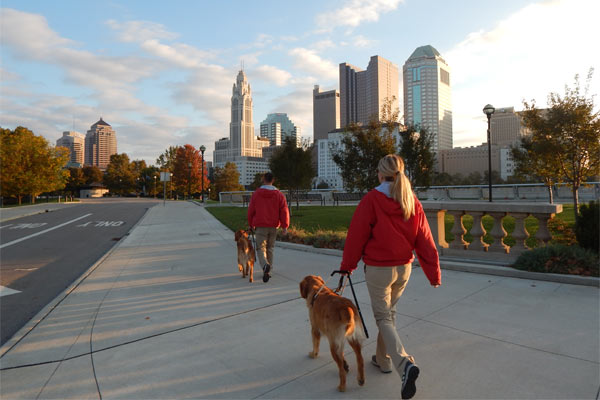 Columbus - People walking dogs